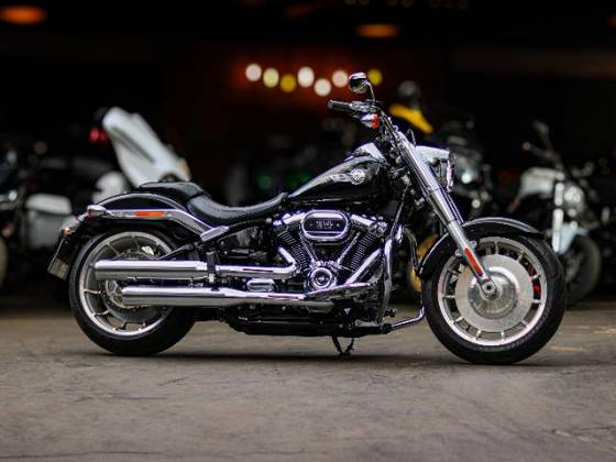 HARLEY-DAVIDSON SOFTAIL FAT BOY 114 